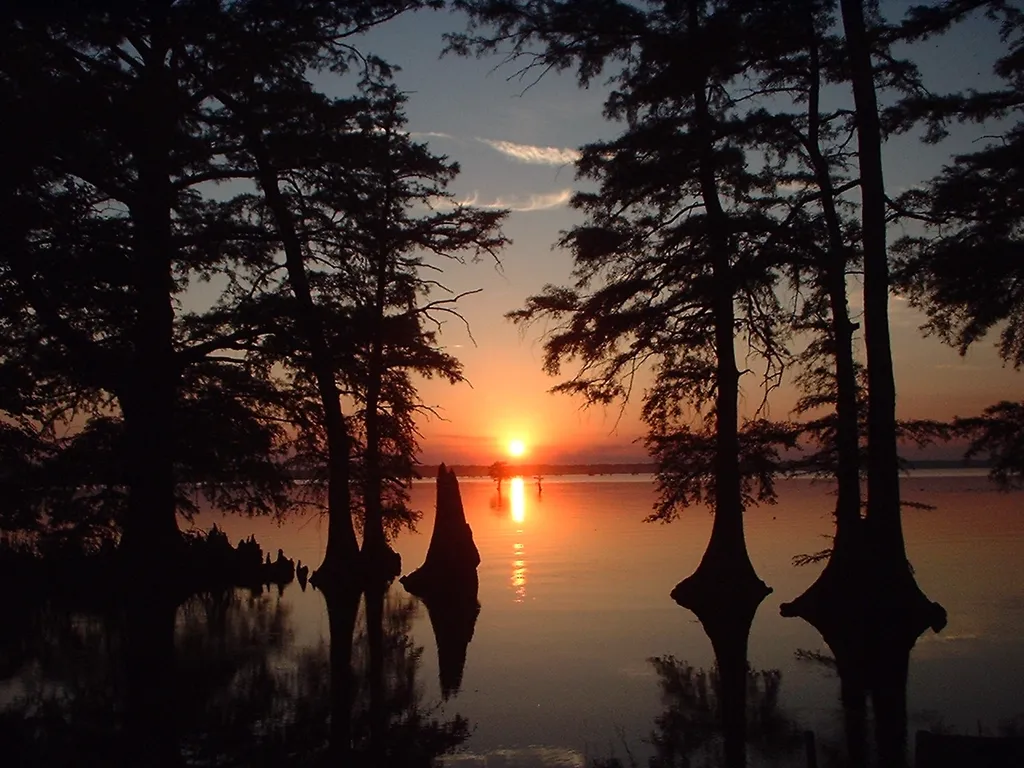 Reelfoot Lake Sunset
